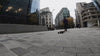 Load and play video in Gallery viewer, DopeGrip® RAW